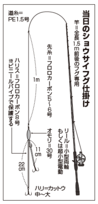 当日のショウサイフグ仕掛け