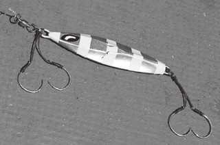 ジグの写真