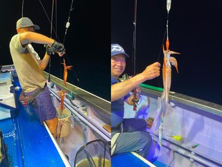 【釣果速報】そこらじゅうスジイカだらけ！茨城県日立丸で全員安打達成！トップは257匹キャッチ！あなたも爆釣間違いなし！