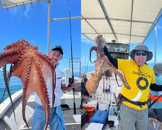 【釣果速報】3.3kgのモンスターマダコ確保！兵庫県釣り船 福三郎の船長が厳選するポイントで記録更新マダコを釣ろう！
