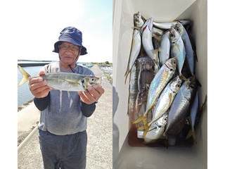 【釣果速報】千葉県フィッシュオン大勝でアジがバズる！トップは33枚！サイズも最大33cmと良型多数！数もサイズも記録更新したいなら今スグの乗船がおすすめ！