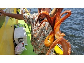 【釣果速報】良い釣果！！竿頭15杯のマダコをGET！神奈川県鴨下丸kawanaで夏の注目ターゲットを釣ろう！