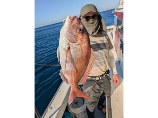 【釣果速報】静岡県魚磯丸で1.80kgの良型マダイゲット！あなたも静岡県魚磯丸でマダイを狙おう！