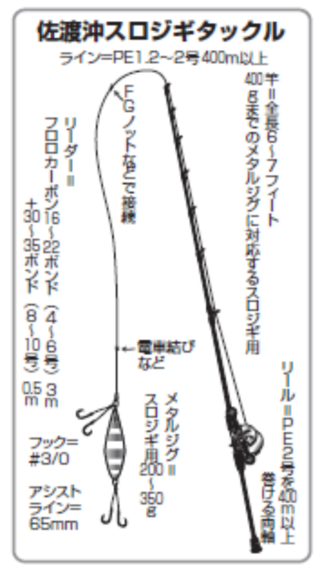 佐渡沖スロジギタックル