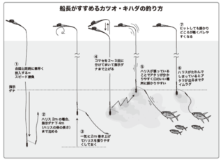 船長がすすめるカツオ・キハダの釣り方