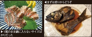 料理の写真