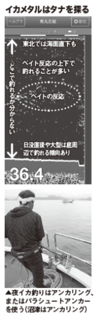 イカメタルはタナを探る