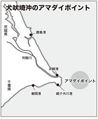 ポイントの地図