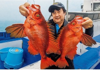 キントキ主体の根魚五目に注目　大型の引きと食味のよさが魅力