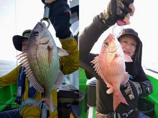 【釣果速報】茨城県弘漁丸でマダイ・アイナメ確保！マダイボウズなし！狙うなら今！