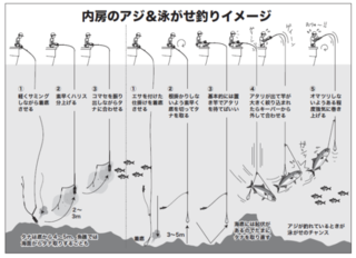 内房のアジ＆泳がせ釣りイメージ