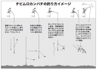 チビムロカンパチの釣り方イメージ