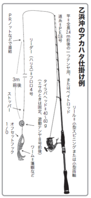 乙浜沖のアカハタ仕掛け例