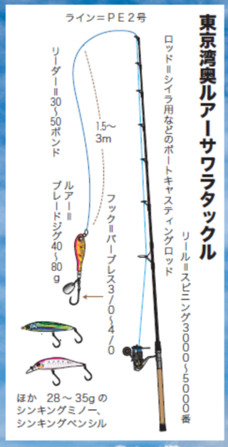 東京湾奥ルアーサワラタックル