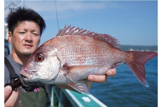 浅場でマダイのアタリ活発　大原沖は数釣りが魅力！