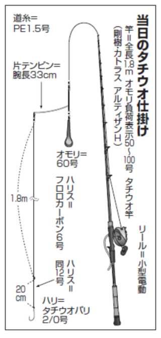 当日のタチウオ仕掛け