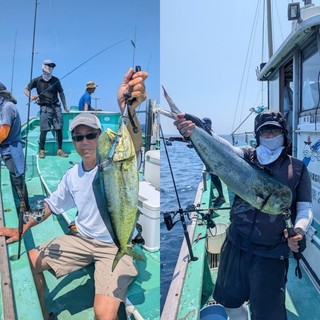 【釣果速報】東京都入舟で最大82cmのシイラGET！！様々な地方名を持つシイラ！あなたも高級魚ハンターになりませんか？