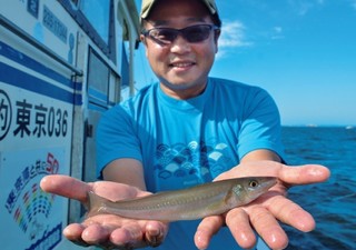 東京湾シロギス好模様　盤洲の浅場で食い活発