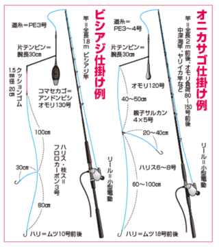 ビジアジ仕掛け例・オニカサゴ仕掛け例