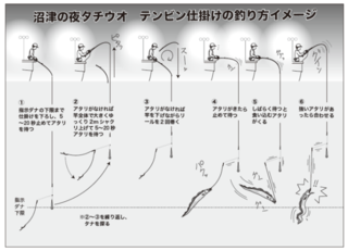 沼津の夜タチウオ　テンビン仕掛けの釣り方イメージ