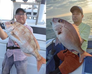 【釣果速報】マダイにヒラマサ、カサゴ！千葉県新幸丸に乗るとクーラーボックスが高級魚の宝石箱になるぞ！
