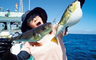 ［動画で見る沖釣り教室・忍塾THE・ムービー（第51回）］東京湾のショウサイフグ