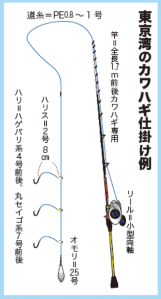 東京湾のカワハギ仕掛け例