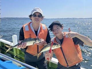 【釣果速報】神奈川県政信丸でアジ好調！竿頭は47匹！質も量も大満足の釣行を楽しもう！