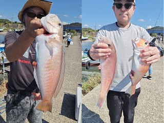 【釣果速報】見よ！44cmの巨大シロアマダイの迫力を！千葉県フィッシュオン大勝で大型高級魚GETのビッグドリームを叶えよう！