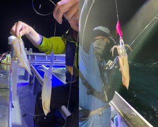 【釣果速報】ウネリをものともせず！マルイカ・スルメイカが終日ヒット！茨城県日立丸に乗船してイカを釣りに行こう！