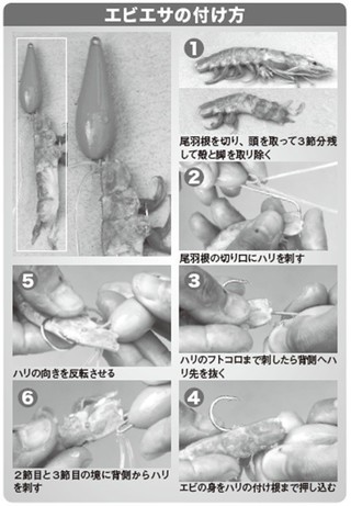 エサの付け方の写真