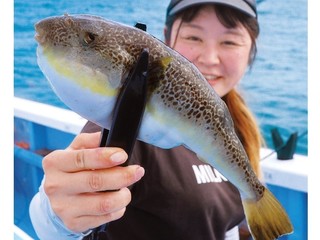 初日から釣れてます！　外房大原のフグ好発進