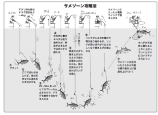 サメゾーン攻略法