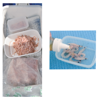 エサの管理は大切！