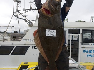 【釣果速報】福島県つりエサ豊漁でヒラメ・マゾイ・クロソイなど超豪華根魚を一挙にGET！海深く潜む人気者を捕まえに行こう！        