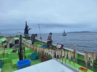【釣果速報】千葉県利八丸でスルメイカ釣行が好調！竿頭は24匹ゲット！初秋の絶品スルメイカを自分の手で釣り上げてみませんか？