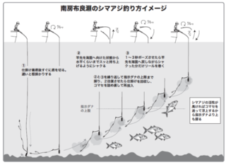 南房布良瀬のシマアジ釣り方イメージ