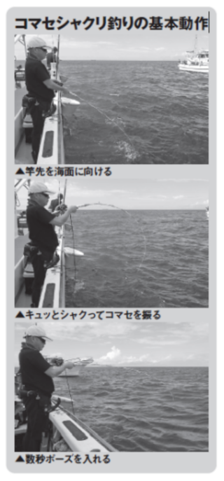 コマセシャクリ釣りの基本動作
