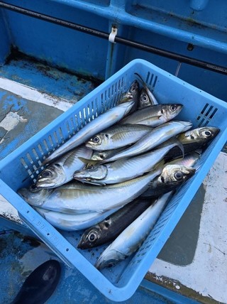 釣果