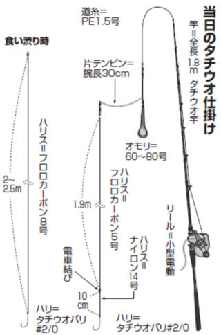 当日のタチウオ仕掛け