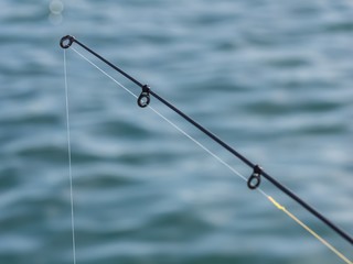 ［みんなが知りたい釣り人の考え沖釣り意識調査（第111回）］釣り行く車は何乗ってる？