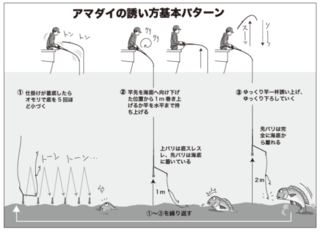 アマダイの誘い方基本パターン