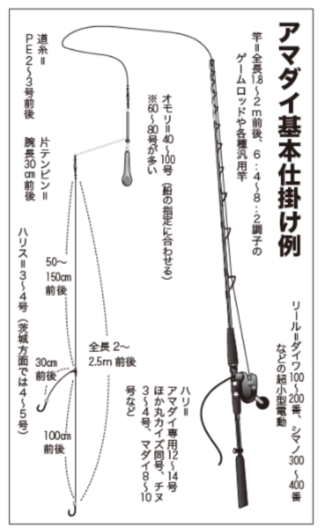 アマダイ基本仕掛け例