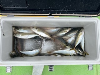 釣果