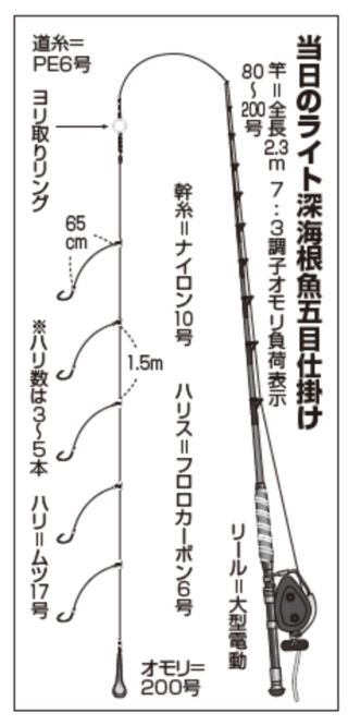 当日のライト深海根魚五目仕掛け
