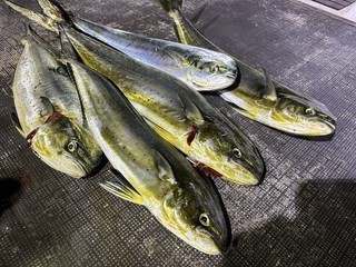 釣果