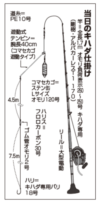 当日のキハダ仕掛け