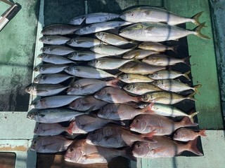 釣果
