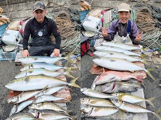 【釣果速報】神奈川県愛正丸で3.50～5.20kgの良型ワラサ入れ食い！マダイ＆アジも大満足のサイズ！旬のシーズンを絶対に逃すな！