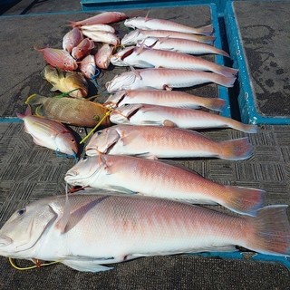 釣果